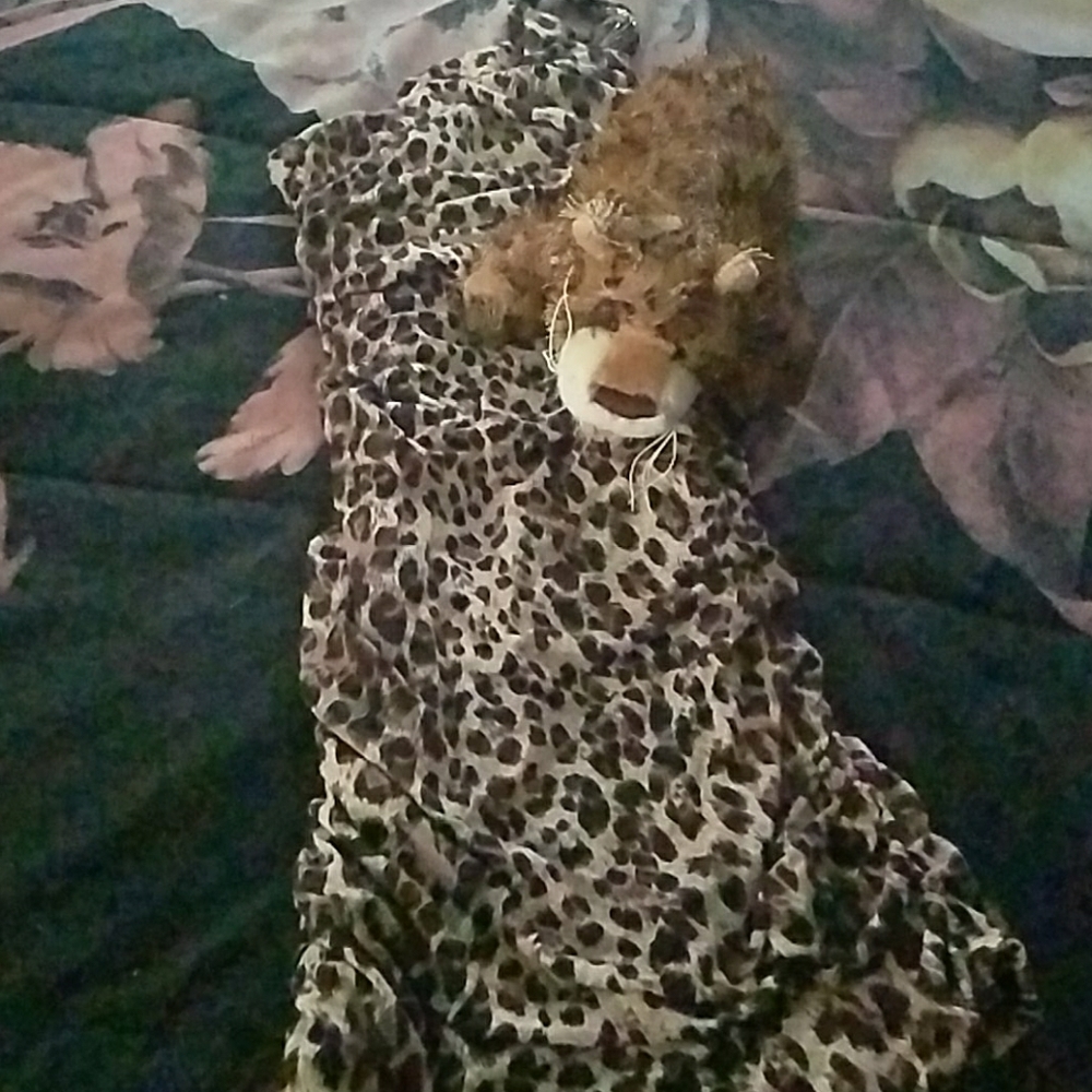 Sapa dress w free teddy bear